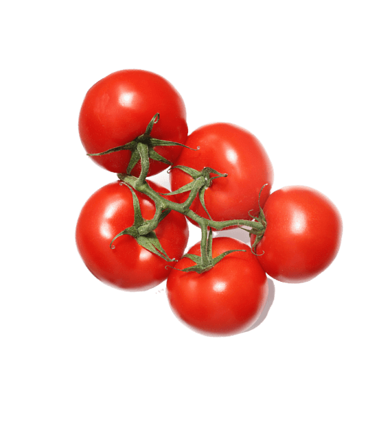 Fresh Tomato